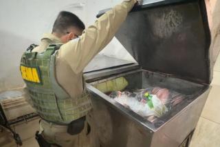 Sema apreende equipamentos proibidos e devolve 56 peixes ao Lago do Manso