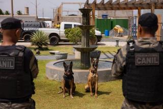Sejus reúne equipes caninas das forças de segurança para torneio de habilidades em Cuiabá