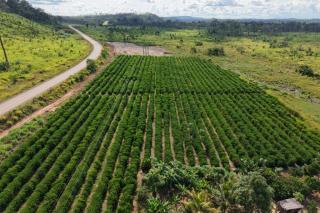 Governo publica edital de R$ 76,7 milhões para fortalecer pequenos produtores em MT