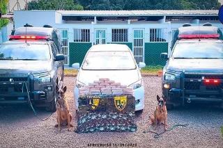 Cães farejadores do Gefron descobrem 26 quilos de cocaína em carro na divisa entre Bolívia e Cáceres