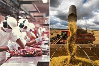Carne e óleo de soja faz indústria de Mato Grosso disparar e alcançar o 2º lugar do país