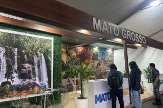 Terra das onças e aves, MT passa a ter rota de observação de primatas