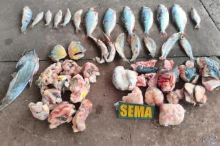 Sema e PM apreendem pescados irregulares em estabelecimento às margens do Rio Cuiabá