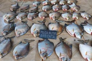 Batalhão Ambiental da PM prende homem por armazenar pescado ilegal em Nova Canaã do Norte