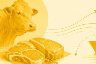 Europa exclui Brasil de lista para exportação de carnes, aves, mel e pescado