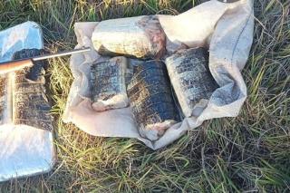 Sema apreende 17 quilos de carne de jacaré e aplica multa de R$ 14,2 mil em Poconé