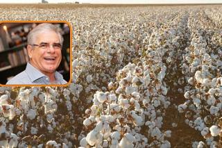 Ex-Rei do Algodão tem contrato de fazenda penhorado para pagar dívida de R$ 37,5 milhões