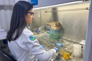 Governo de MT lança edital de R$ 23 milhões com bolsas de até R$ 13 mil para cientistas e doutores