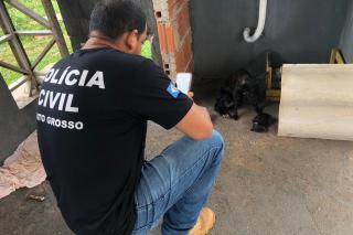 Dema apura denúncias de maus-tratos a animais em Cuiabá e Várzea Grande