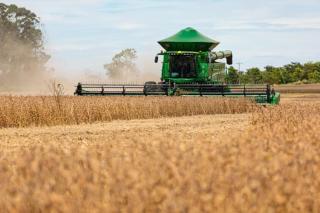 Agropecuária é o segundo setor que mais emprega em Mato Grosso