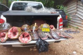 Sema apreende 118 kg de pescado ilegal durante operação na comunidade São Gonçalo Beira Rio