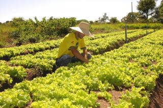 Sefaz reduz tempo para liberação de inscrição estadual de micro e produtores rurais