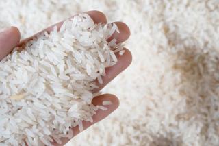 Governo vai liberar mais R$ 300 milhões para apoiar produtores de arroz