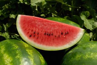 Exportações de frutas aumentaram 16% no terceiro trimestre