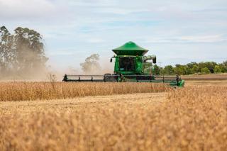  PIB de Mato Grosso cresceu três vezes mais que o do país em 2023