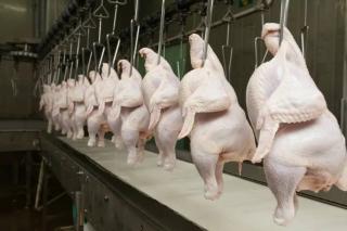 Brasil retoma exportações de carne de frango para a Malásia