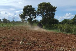 Governo de MT investe em projeto-piloto que garantirá produção e venda de gengibre e açafrão