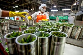 Agroindústria registra terceira queda seguida