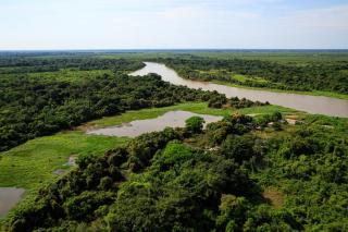 Governo de MT se reúne com proprietários para debater estratégias de prevenção aos incêndios no Pantanal nesta sexta-feira (17)