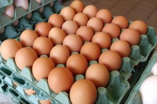 Preços dos Ovos de Galinha caem ao menor patamar do ano