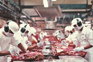 Frigoríficos de carne bovina esperam solução para tarifaço em até 60 dias