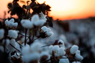 Indicador de outubro é o menor em 16 anos