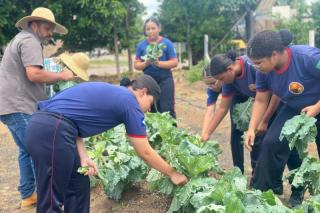 Alunos aprendem técnicas de plantio e manutenção de canteiros de hortaliças e plantas medicinais