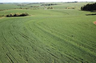 Câmara aprova projeto que cria novas regras de desapropriação de terras para reforma agrária