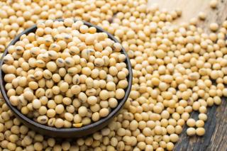 Soja fecha em alta na bolsa de Chicago, enquanto milho e trigo caem