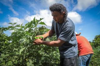 Governo de MT promove agricultura familiar inclusiva com apoio a quilombolas, indígenas e mulheres