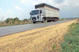 Embrapa Soja oferece curso para reduzir perdas agrícolas