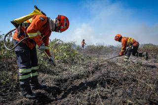 Corpo de Bombeiros combate 39 incêndios florestais em MT nesta terça-feira (27)