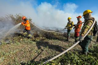 Corpo de Bombeiros extingue sete incêndios florestais e combate outros 45 neste domingo (08)