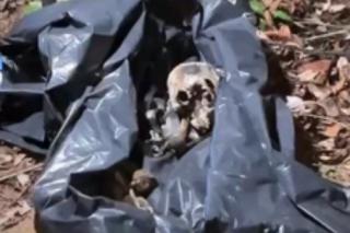 Ossada é localizada em região de mata em Sinop