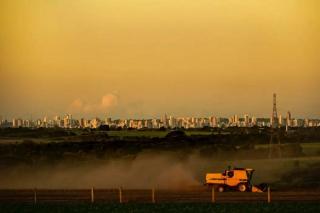 AGROPECUÁRIA: Capitais do agronegócio no Centro-Oeste acumulam problemas sociais