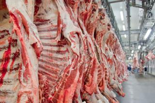 Indústria de carne bovina encerra 'ano histórico', enquanto espera decisão da China