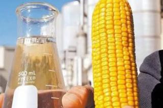 Indústria de MT investe R$ 1 bilhão em usina de etanol de milho no PR