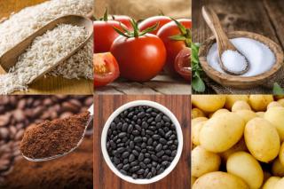 Conab realiza compra institucional de R$ 46 milhões para fortalecer agricultura familiar