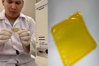 Com apoio da Fapemat, pesquisa da UFMT desenvolve embalagem biodegradável a partir de óleo de pequi