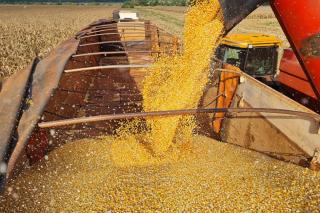 Mato Grosso do Sul faz balanço positivo do setor agrícola em 2024