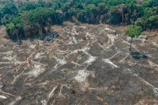 Extração ilegal de minério na Amazônia lidera multas ambientais em MT