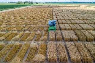 Internacionalização da Unemat vai da sala de aula ao 