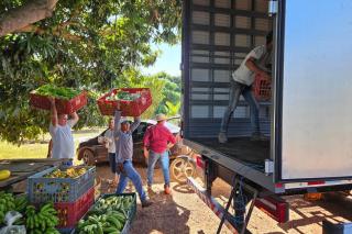 Políticas públicas ampliam produção de alimentos e transformam a agricultura familiar em MT