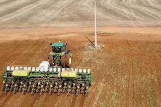 Semeadura de soja em MT chega a 1,82% da área; clima preocupa