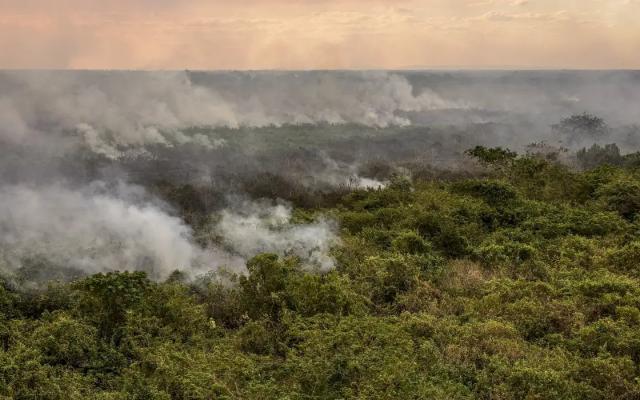 Área queimada no Brasil cai 31% em 2025, diz MapBiomas