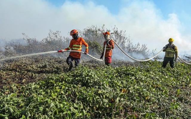 Mato Grosso tem o menor número de queimadas em julho desde 1998