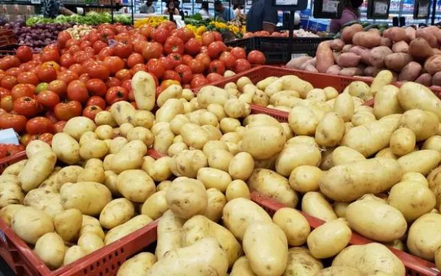 Pesquisa aponta redução nos custos da cesta básica em 26 capitais em julho