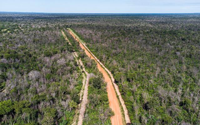 Regras para aceiros no Pantanal são atualizadas e passam a detalhar ações de prevenção e combate a incêndios