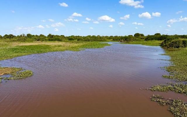 Ministério Público cobra estudos sobre influência da Usina do Manso na seca do Pantanal