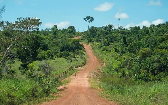 TRF1 mantém demarcação da Terra Indígena Kayabi entre MT e Pará e rejeita pedido de fazendeiros